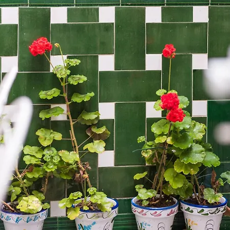 Bartomeu By Habama Group