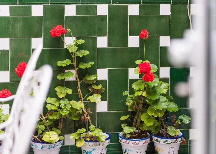 Bartomeu By Habama Group